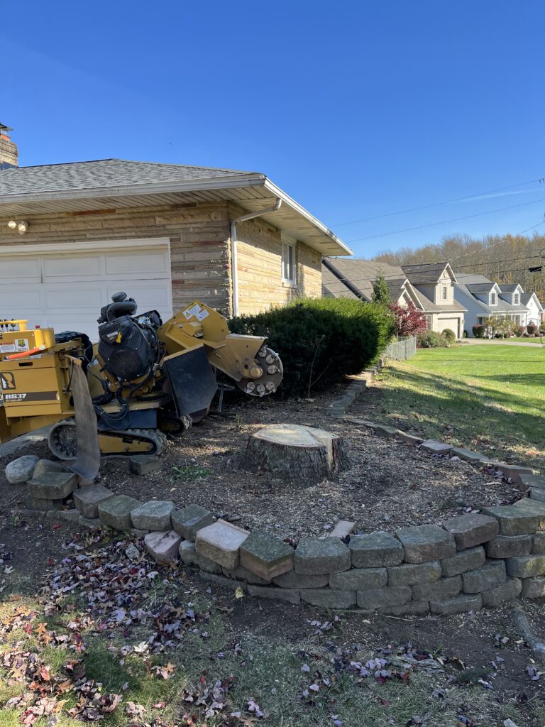 A House With a Lawn and a Machine in Front of It
